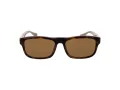 Web Ochelari de Soare WE 0371 56J 58