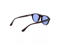 Web Ochelari de Soare WE 0377 92V 51